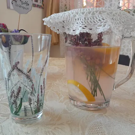 Close To Budapest Homestay *